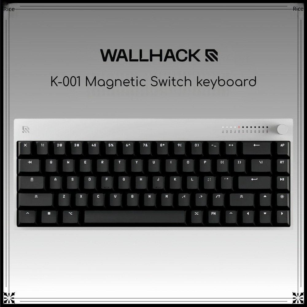 Gaming Keyboard Hall Effect Switches - WALLHACK K-001 홀 이펙트 마그네틱 스위치